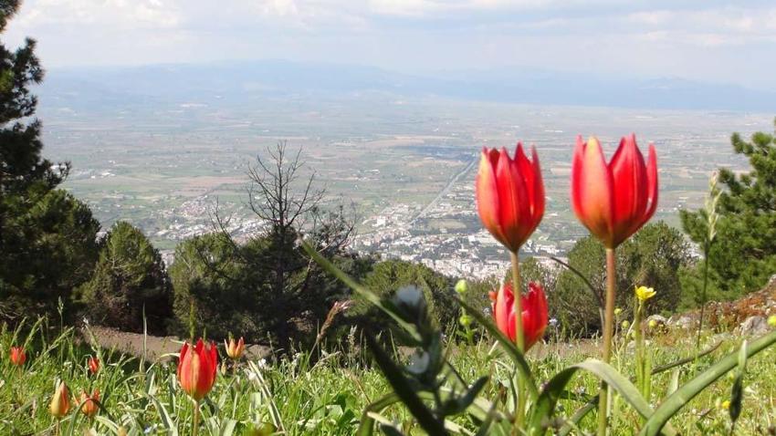 2022 yılında 109 bin lira olan idari para cezası bu yıl 244 bin 315 lira olarak belirlendi