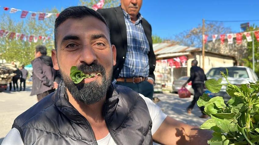 İbn-i Sina'nın önerisi 'kuzu kulağı' her derde deva