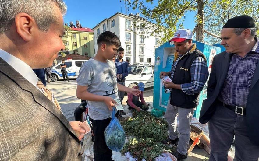 İbn-i Sina'nın önerisi 'kuzu kulağı' her derde deva