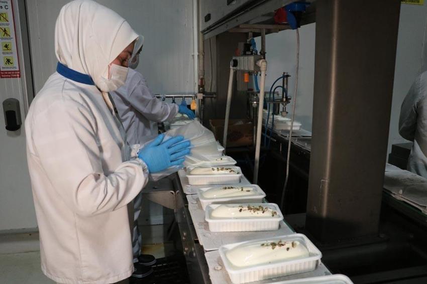 Depremden 20 gün sonra üretime geçildi, 170 bin nokta 25 ülkeye Maraş dondurması gidiyor