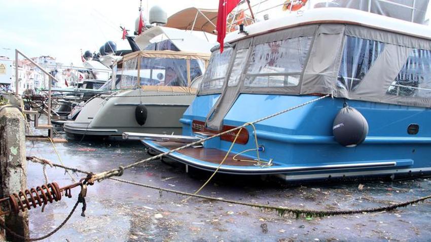 Arnavutköy sahilinde kirlilik! Yoğunluk dikkat çekti