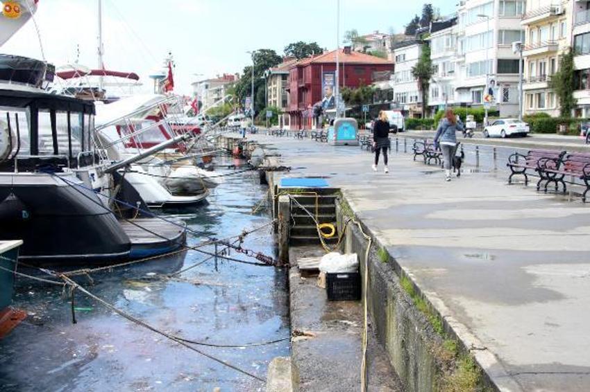 Arnavutköy sahilinde kirlilik! Yoğunluk dikkat çekti
