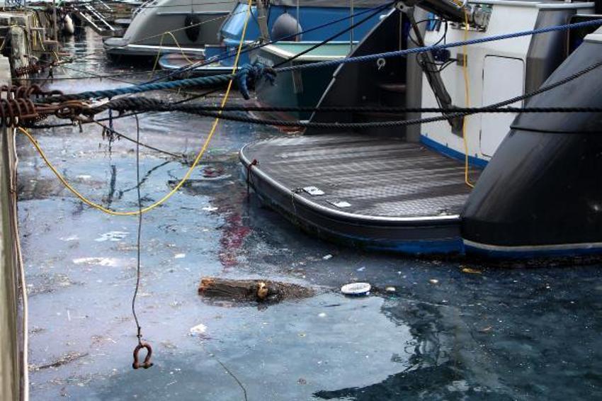 Arnavutköy sahilinde kirlilik! Yoğunluk dikkat çekti