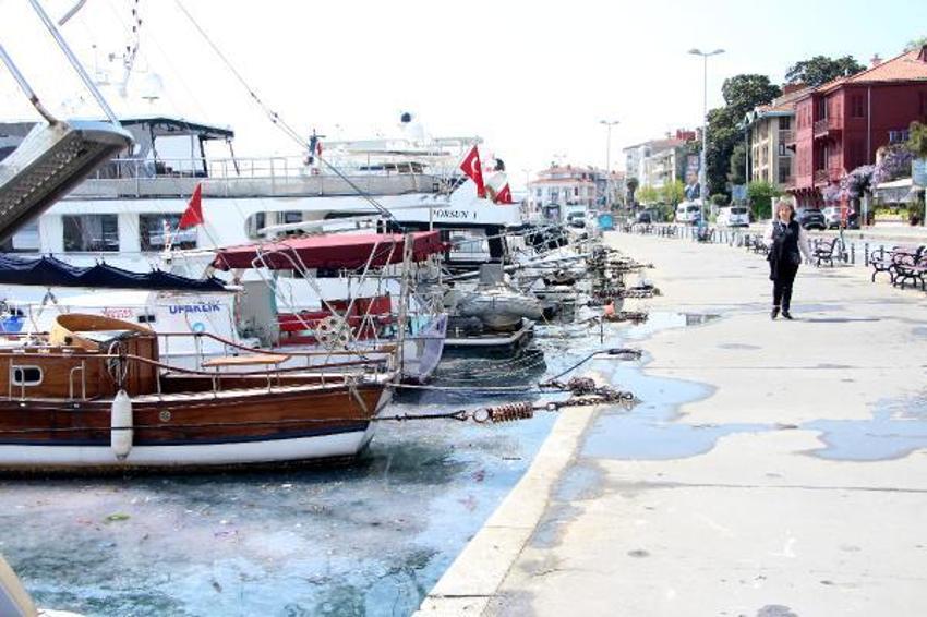 Arnavutköy sahilinde kirlilik! Yoğunluk dikkat çekti