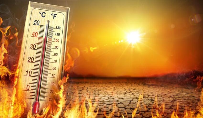Afrika sıcakları ne zaman gelecek 2023? El Nino yolda; sıcaklık rekorları kırılabilir!