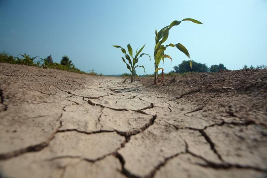 Afrika sıcakları ne zaman gelecek 2023? El Nino yolda; sıcaklık rekorları kırılabilir!