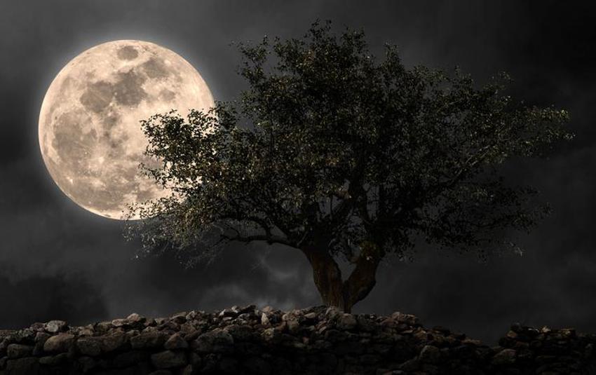 5 Mayıs ay tutulması depremi tetikler mi? Ay tutulması ile deprem arasındaki ilişki var mı, 5 Mayıs ay tutulması saat kaçta 2023? 5 Mayıs 2023 ay tutulması etkileri!