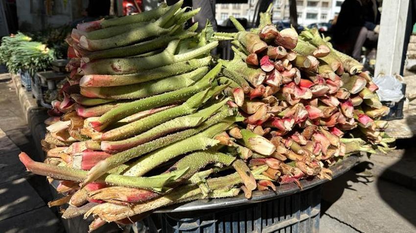 Tam bir şifa deposu: Doğunun muzu 'ışkın' tezgahlarda yerini aldı