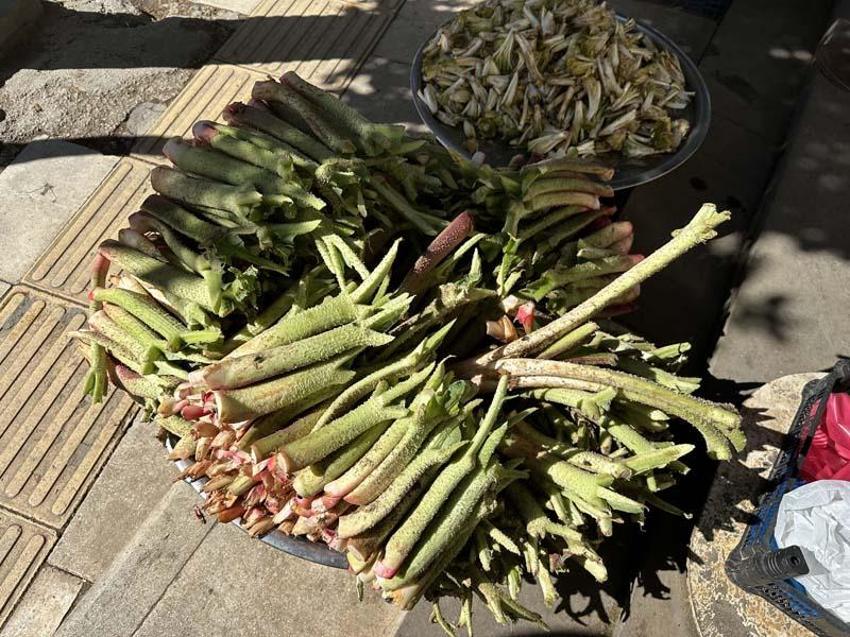 Tam bir şifa deposu: Doğunun muzu 'ışkın' tezgahlarda yerini aldı