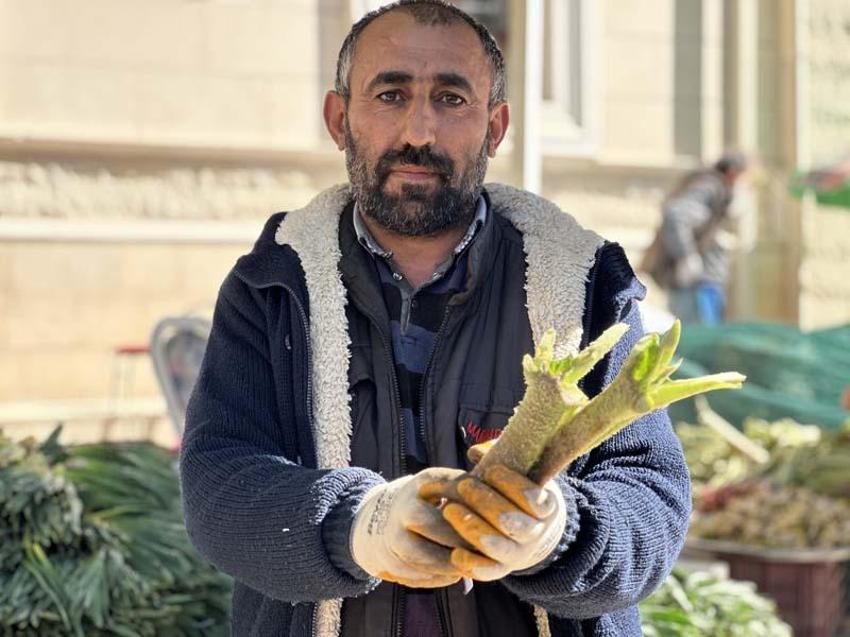 Tam bir şifa deposu: Doğunun muzu 'ışkın' tezgahlarda yerini aldı