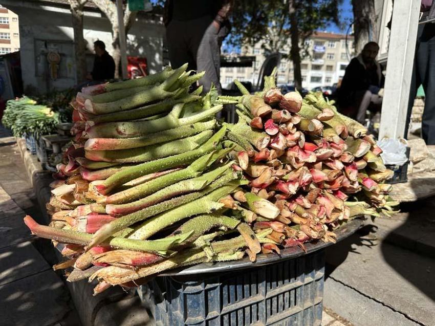 Tam bir şifa deposu: Doğunun muzu 'ışkın' tezgahlarda yerini aldı