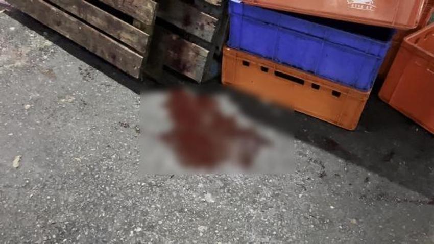 İstanbul'daki et halinde hijyen tartışması