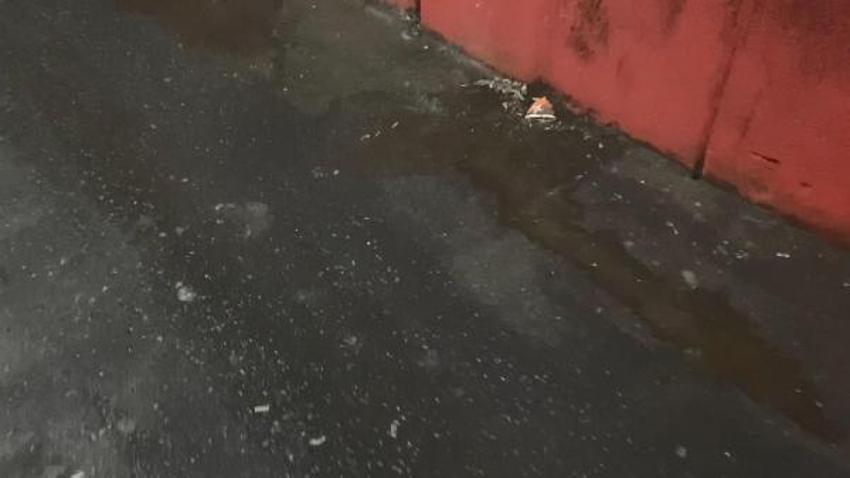 İstanbul'daki et halinde hijyen tartışması