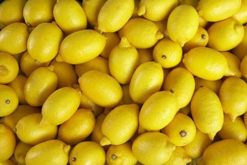 Limon fiyatları ile ilgili flaş açıklama! Üreticide ucuz, markette pahalı