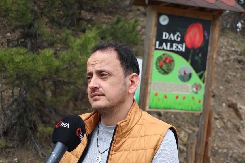 Yılda 15 gün görülen “dağ lalesi” görenleri hayran bırakıyor