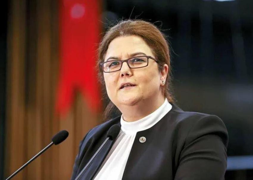 Yeni Meclis’in yeni yüzleri! İşte bakanların Meclis’e girdiği iller