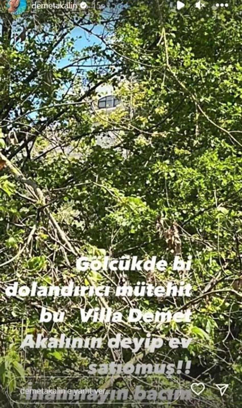 Demet Akalın, estetikleriyle gündeme gelen Ceylan'ın imdadına yetişti!