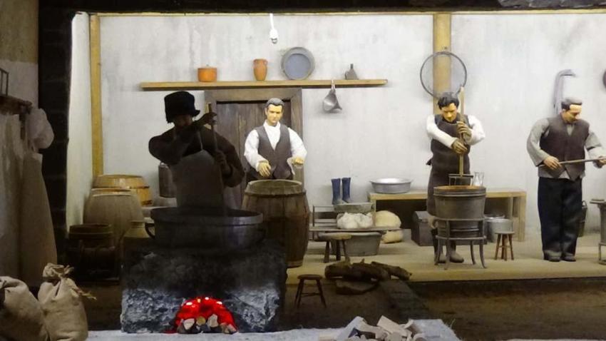 Türkiye'nin ilk ve tek peynir müzesine yoğun ilgi