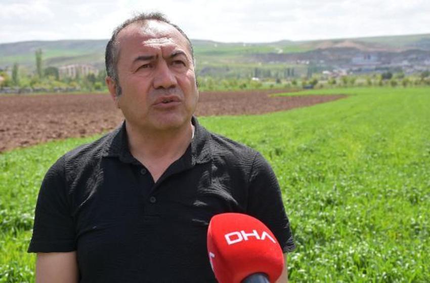 Yağış artışları nedeniyle tahılda 'sarı pas' riski! 'Mücadele edilmezse verim düşer'