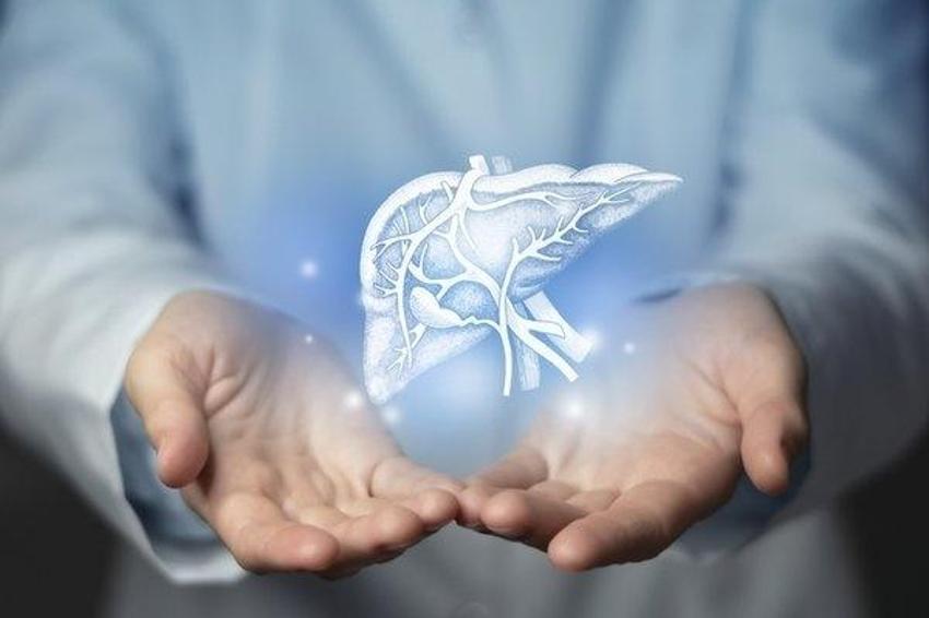 Usul usul öldürüyor! Sürekli yenilince karaciğeri darmaduman ediyor!