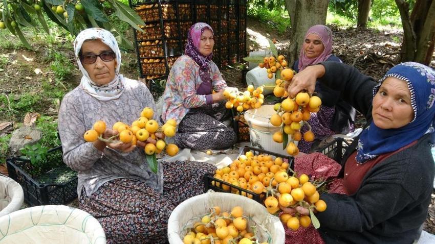 Mersin’de üretiliyor, dünyaya ihraç ediliyor! ‘Fiyatlardan memnunuz’