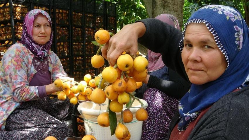 Mersin’de üretiliyor, dünyaya ihraç ediliyor! ‘Fiyatlardan memnunuz’