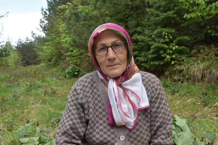  Şeker hastalığına ve metabolizmaya şifa! Özel bakımı yok, ormanda yetişiyor