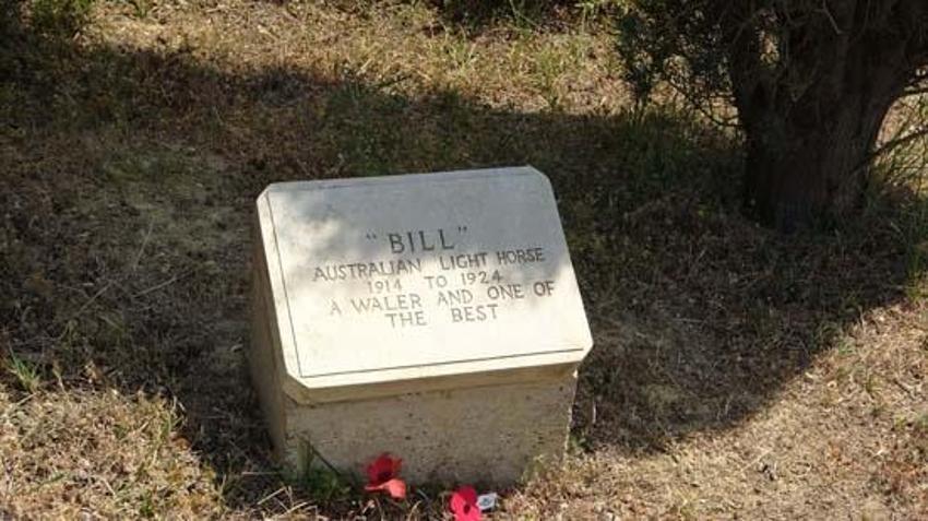 Çanakkale Savaşları'nda görev yapan süvari atı 'Bill'in mezarı Çanakkale'de!