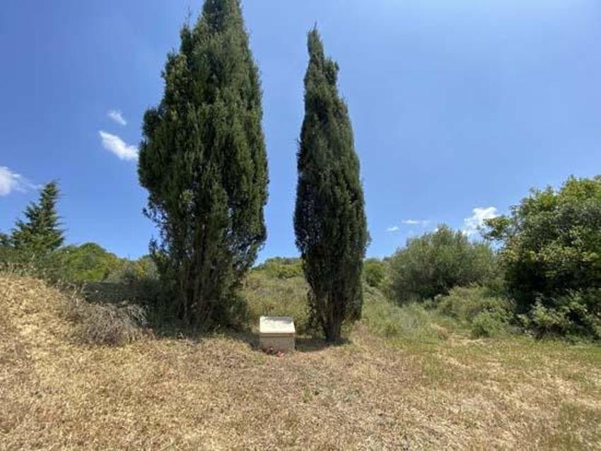 Çanakkale Savaşları'nda görev yapan süvari atı 'Bill'in mezarı Çanakkale'de!