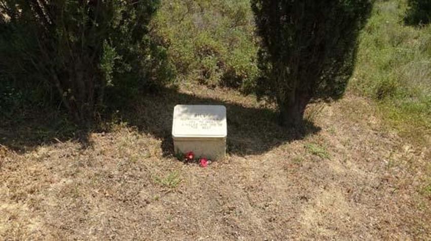 Çanakkale Savaşları'nda görev yapan süvari atı 'Bill'in mezarı Çanakkale'de!