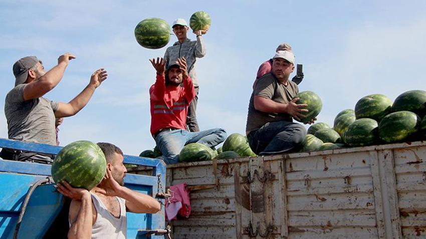 Karpuz fiyatları değişti! Kilosu 5 liraya kadar düştü