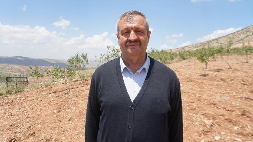 Dolu yağışı ‘yeşil altın’ı vurdu