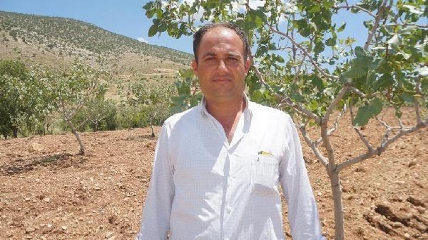 Dolu yağışı ‘yeşil altın’ı vurdu