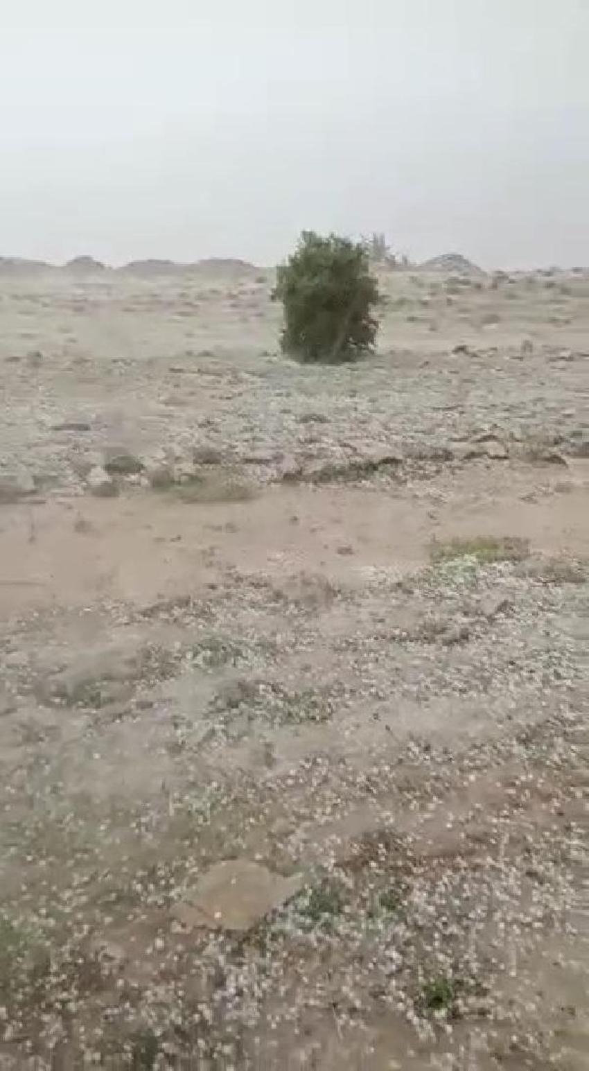 Dolu yağışı ‘yeşil altın’ı vurdu