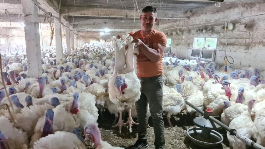 Hobi olarak başladı, yurt dışından talep yağıyor