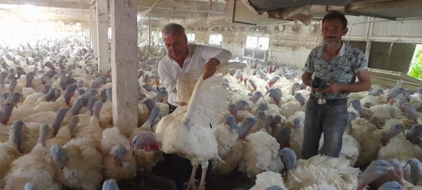 Hobi olarak başladı, yurt dışından talep yağıyor