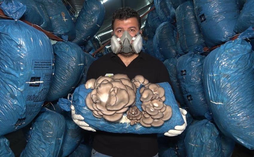 3 mühendis kariyerini bırakıp bu işe başladı: Kilosu 70 lira, ayda 1 ton üretim
