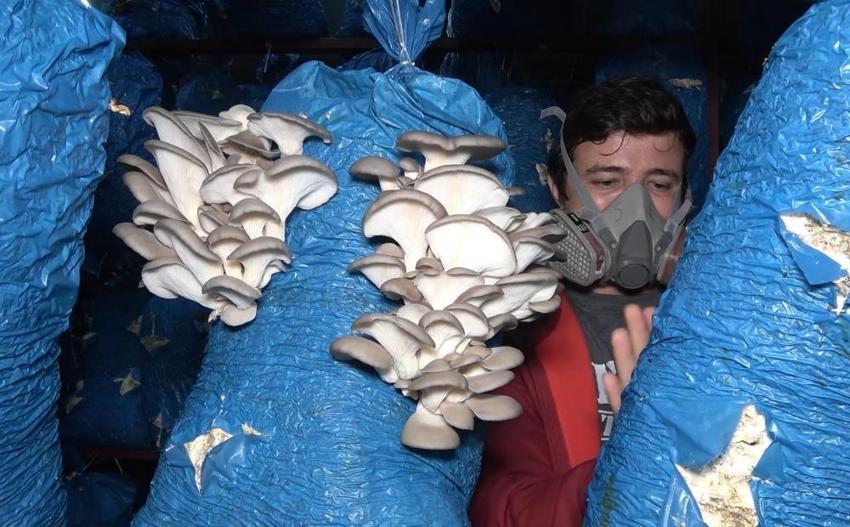3 mühendis kariyerini bırakıp bu işe başladı: Kilosu 70 lira, ayda 1 ton üretim