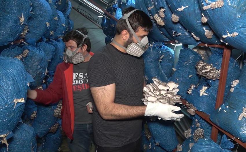 3 mühendis kariyerini bırakıp bu işe başladı: Kilosu 70 lira, ayda 1 ton üretim