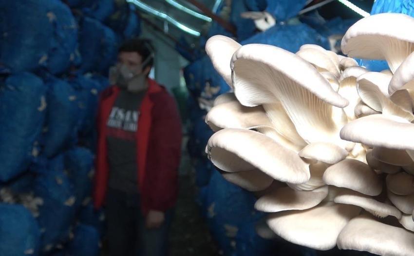 3 mühendis kariyerini bırakıp bu işe başladı: Kilosu 70 lira, ayda 1 ton üretim