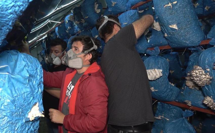 3 mühendis kariyerini bırakıp bu işe başladı: Kilosu 70 lira, ayda 1 ton üretim