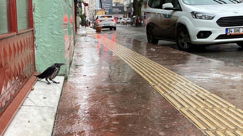 16 şehir için Meteoroloji'den sarı ve turuncu kodlu uyarı! Kastamonu ve Sinop için kuvvetli yağış alarmı...