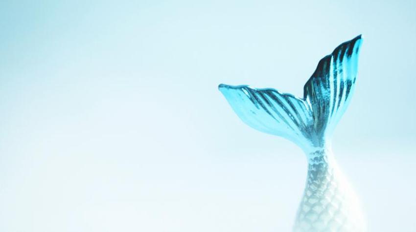 Falda Deniz Kızı Görmek Ne Demek? Kahve Falında Deniz Kızı Nasıl Yorumlanır?