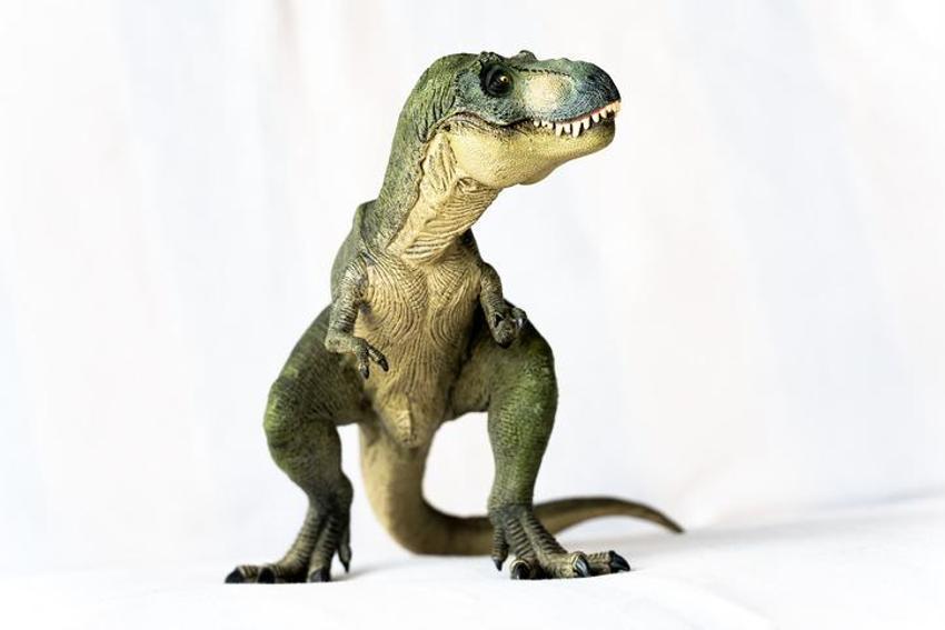 Falda Dinozor Görmek Ne Demek? Kahve Falında Dinozor Nasıl Yorumlanır?