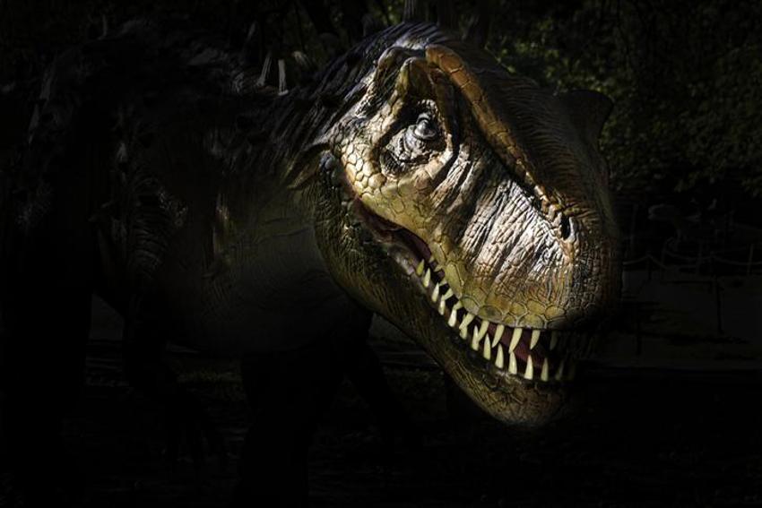 Falda Dinozor Görmek Ne Demek? Kahve Falında Dinozor Nasıl Yorumlanır?