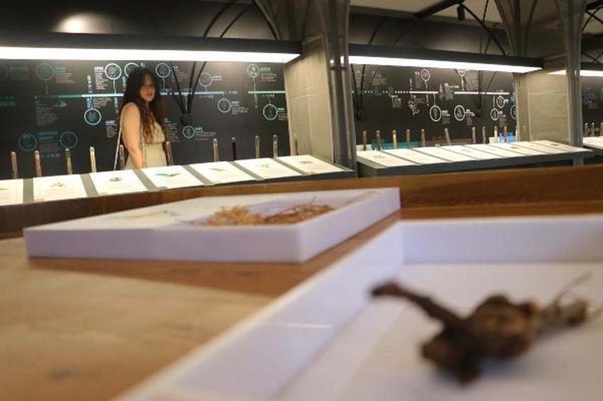 Gaziantep'te dünyaya örnek olacak 'mis kokulu' müze!