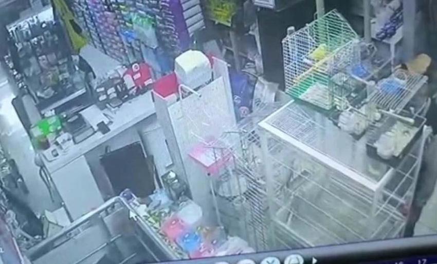 Hırsızlar petshoptan çaldıkları kuşları montun cebine sakladı