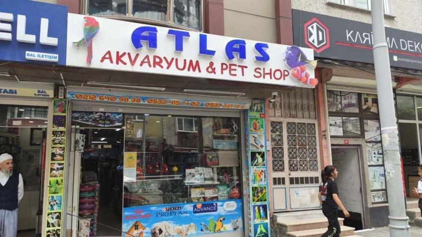 Hırsızlar petshoptan çaldıkları kuşları montun cebine sakladı