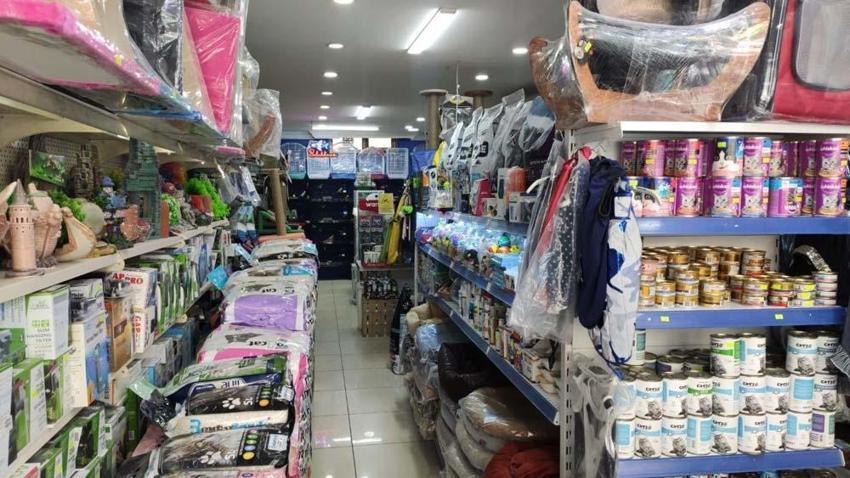 Hırsızlar petshoptan çaldıkları kuşları montun cebine sakladı