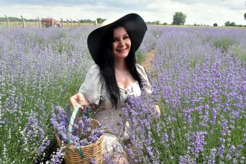 Trakya'da tarlalar mor renge büründü! Turizme büyük katkısı olacak